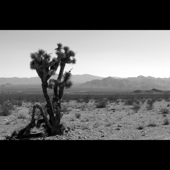 Meet your Posher, David - Picture 1 of 1